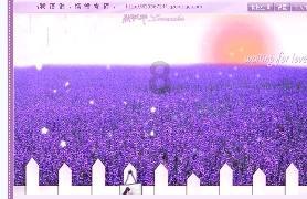 拯救蓝色小鸟